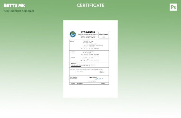 модерен стил Киргистански извод од матична книга на родените Шаблон за Word и